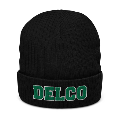 DELCO Embroidered Ribbed knit beanie in Eagles Colors