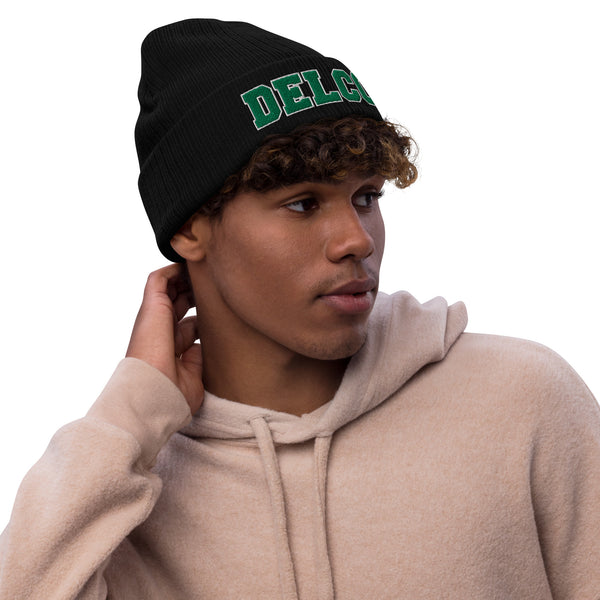 DELCO Embroidered Ribbed knit beanie in Eagles Colors