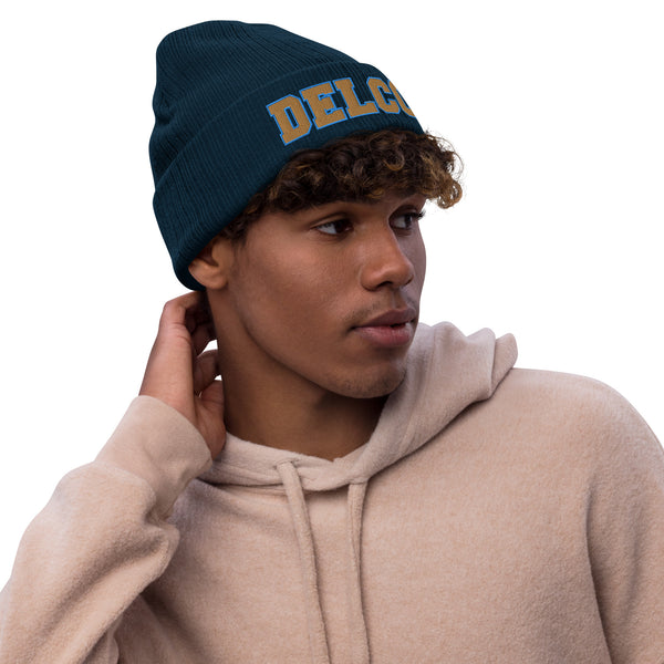 DELCO Ribbed knit beanie in Philadelphia Union colors